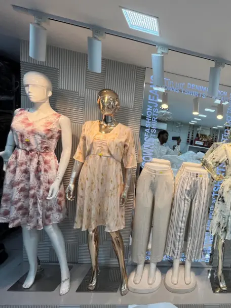 Garment 2